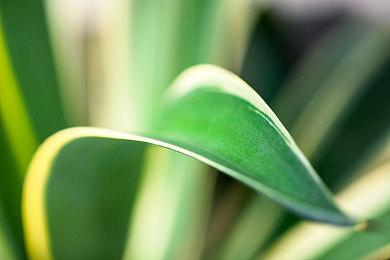 SE经典《时空勇士》重制版公布“原始篇”“功夫篇”预告