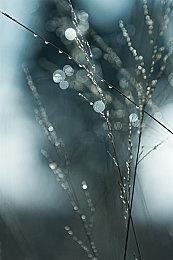 《星之海洋6》Steam国区398元 采用D加密技术